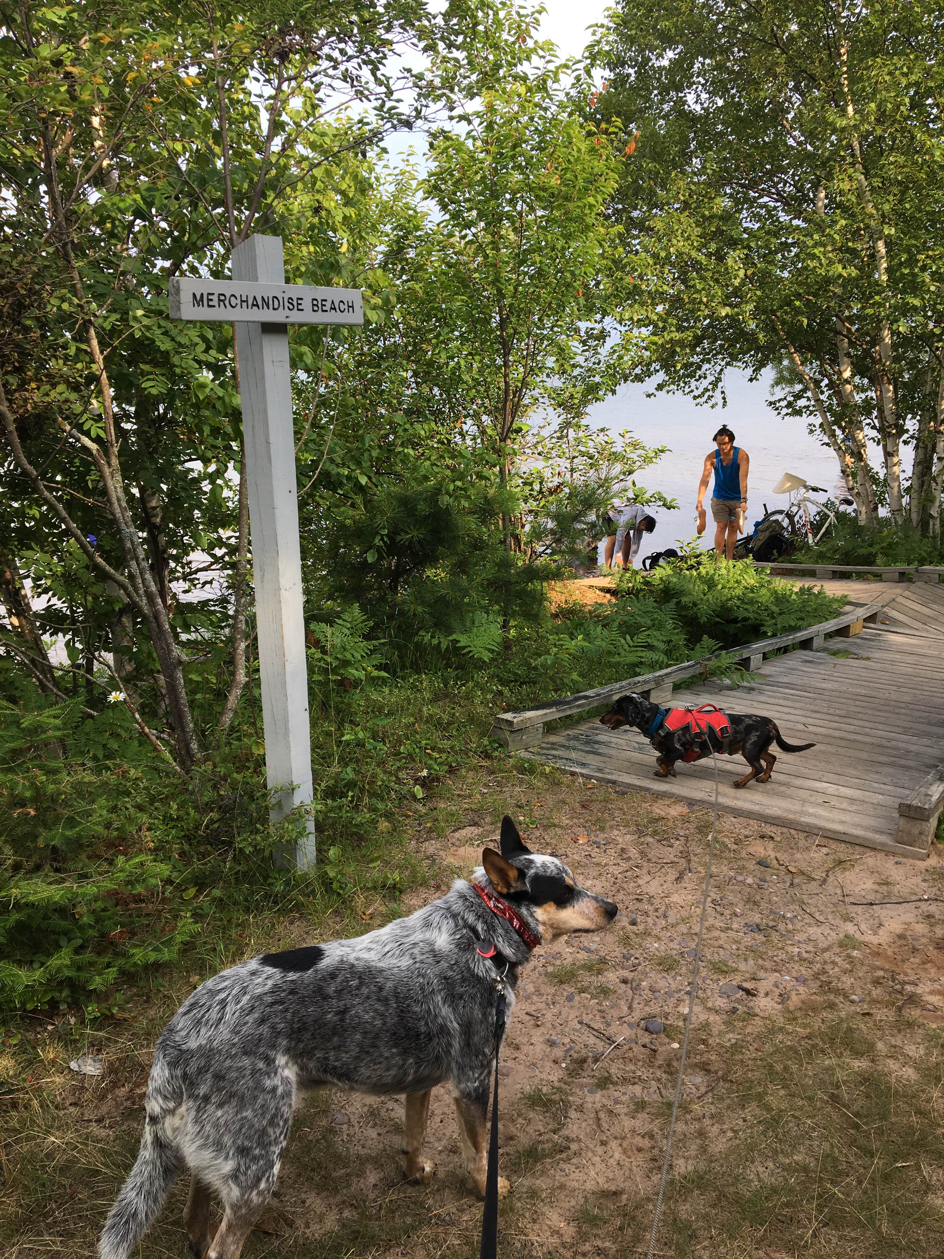 Shelly S.'s photo of camping with pets at Channel Marker Campsite On Grand Island near Pictured Rocks National Park