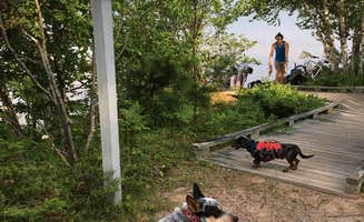 Shelly S.'s photo of camping with pets at Channel Marker Campsite On Grand Island near Grand Marais, MI