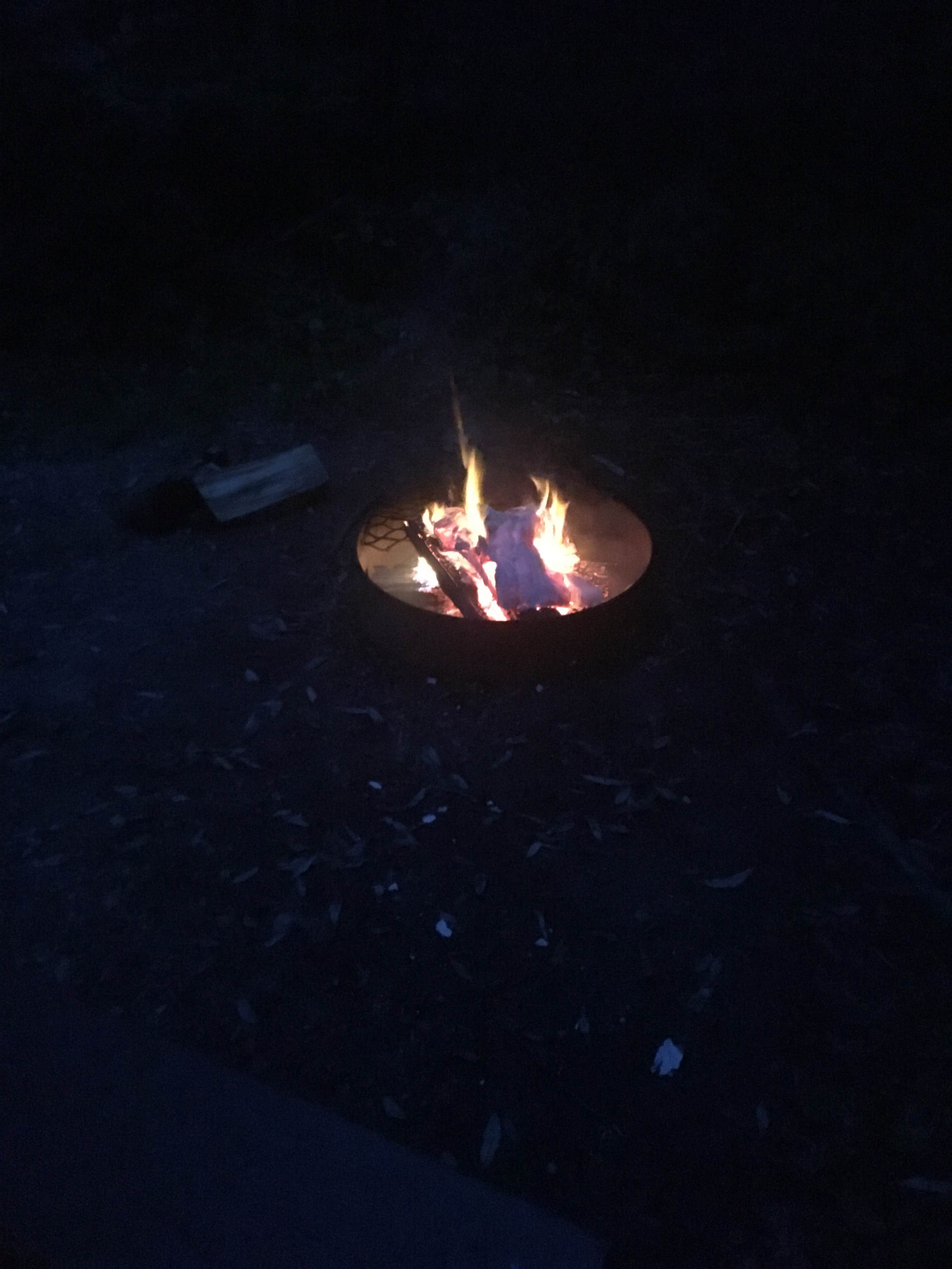 Camper submitted image from Kettle Moraine North — Kettle Moraine State Forest-Northern Unit-Iansr - 5