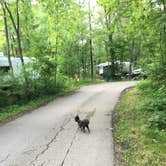 Review photo of Mauthe Lake Campground — Kettle Moraine State Forest - Northern Unit by Shelly S., July 28, 2017