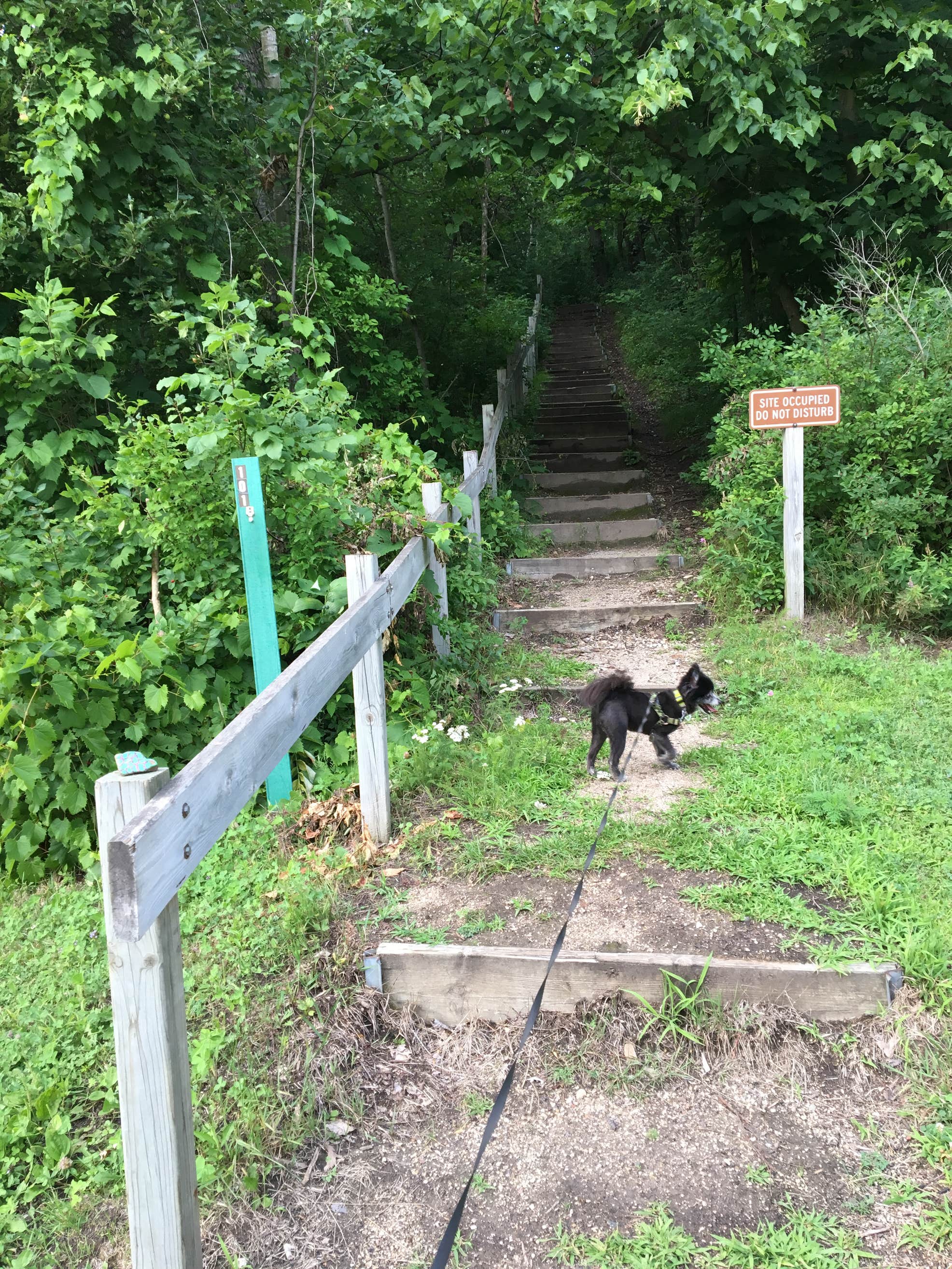 Kettle Moraine North The Dyrt