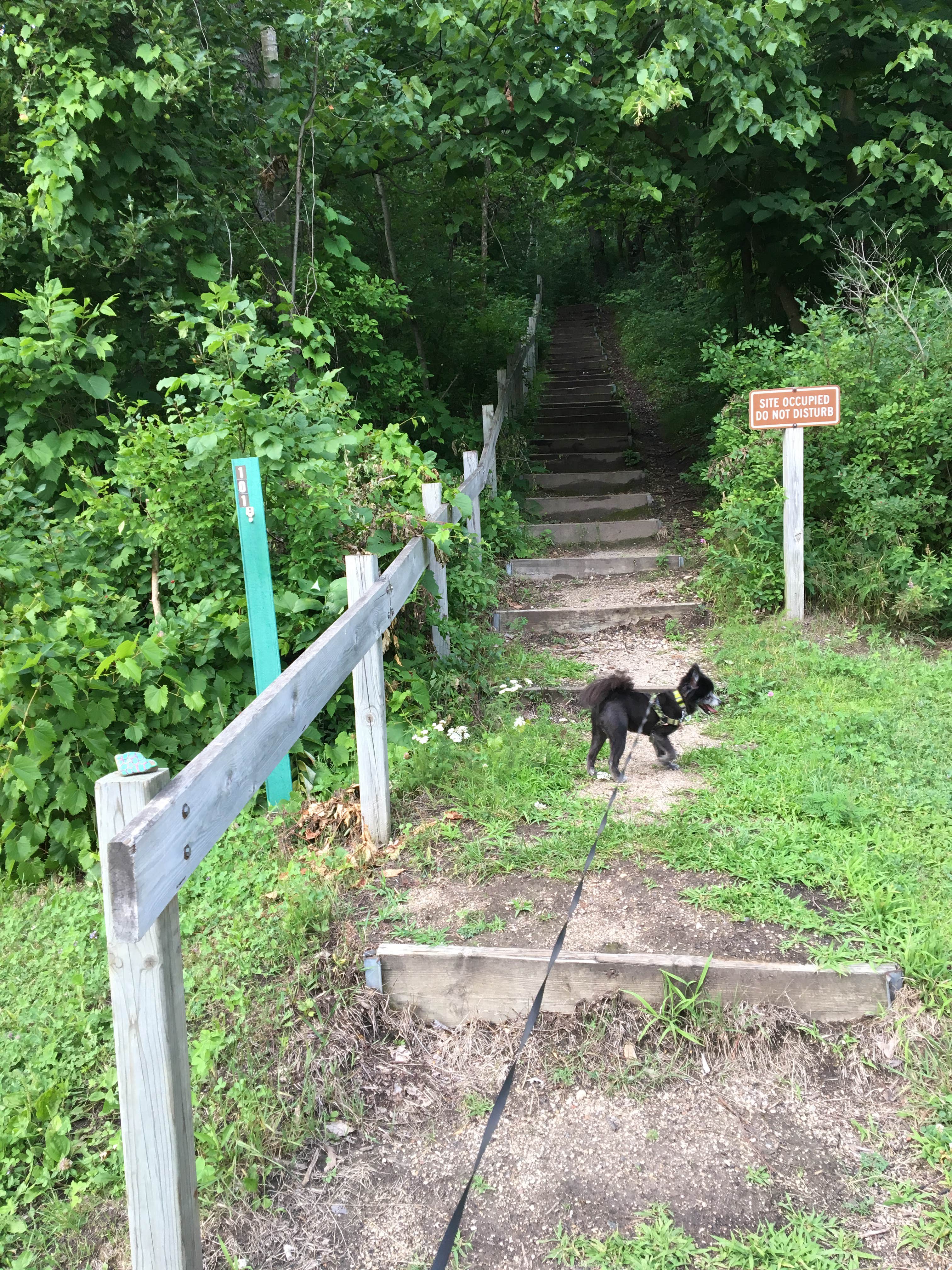 Camper submitted image from Kettle Moraine North — Kettle Moraine State Forest-Northern Unit-Iansr - 5
