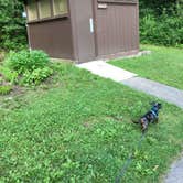 Review photo of Kettle Moraine North — Kettle Moraine State Forest-Northern Unit-Iansr by Shelly S., July 28, 2017