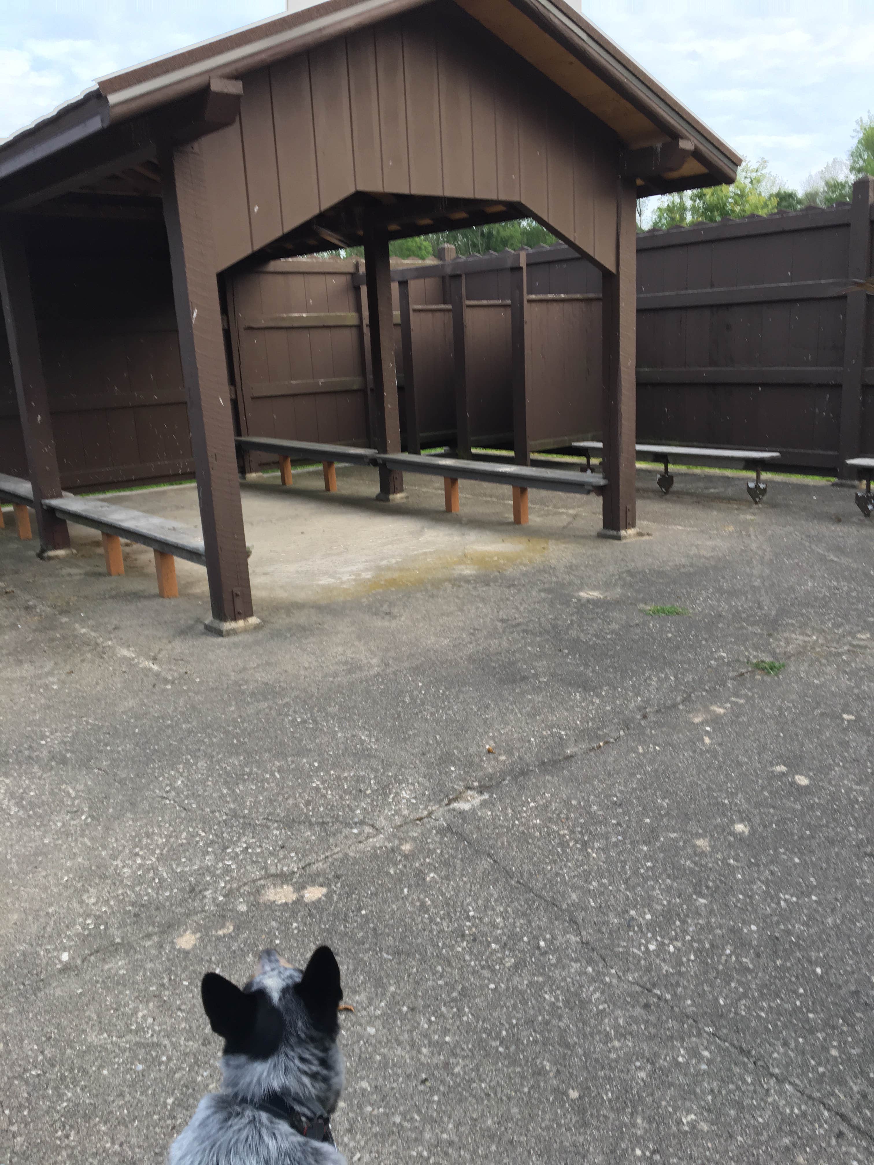 Camper-submitted photo at Kettle Moraine North — Kettle Moraine State Forest-Northern Unit-Iansr near Campbellsport, WI