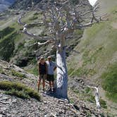 Review photo of Many Glacier Campground — Glacier National Park by Talia H., July 28, 2017