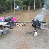 Review photo of Guanella Pass by Cynthia W., July 29, 2017