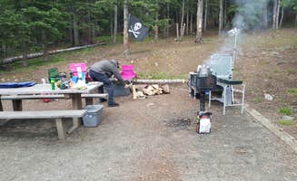 Cynthia W.'s photo at Guanella Pass near Silver Plume, CO