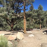 Review photo of Kennedy Meadows Campground by Erin M., July 29, 2017