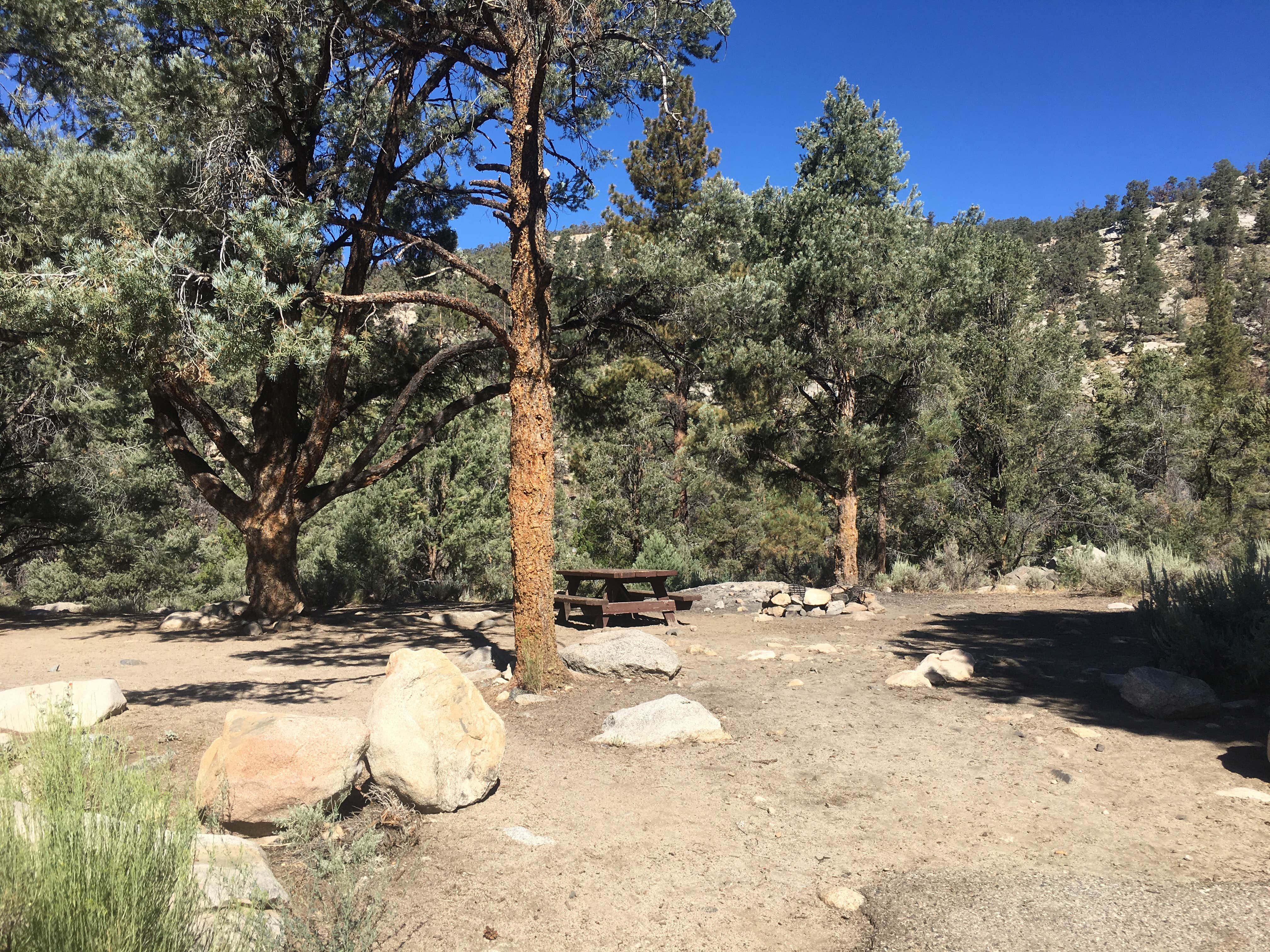 Camper submitted image from Kennedy Meadows Campground - 2