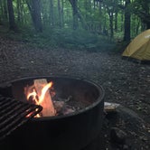 Review photo of Maplewood State Park Campground by Spencer F., July 29, 2017