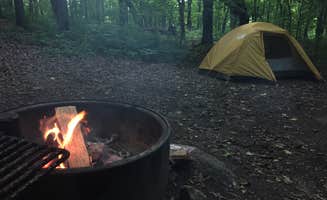 Spencer F.'s photo at Maplewood State Park Campground near Battle Lake, MN