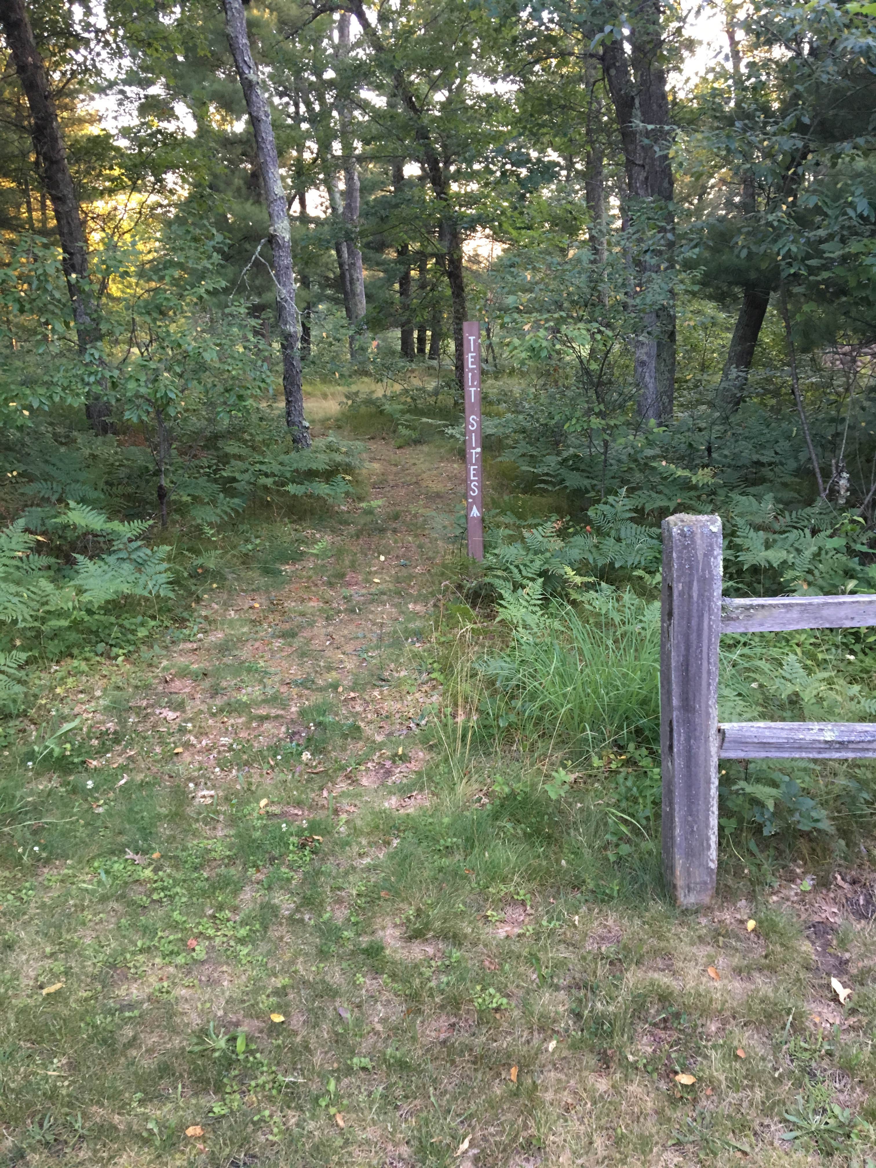 Camper submitted image from Bowman Bridge Campground - 2