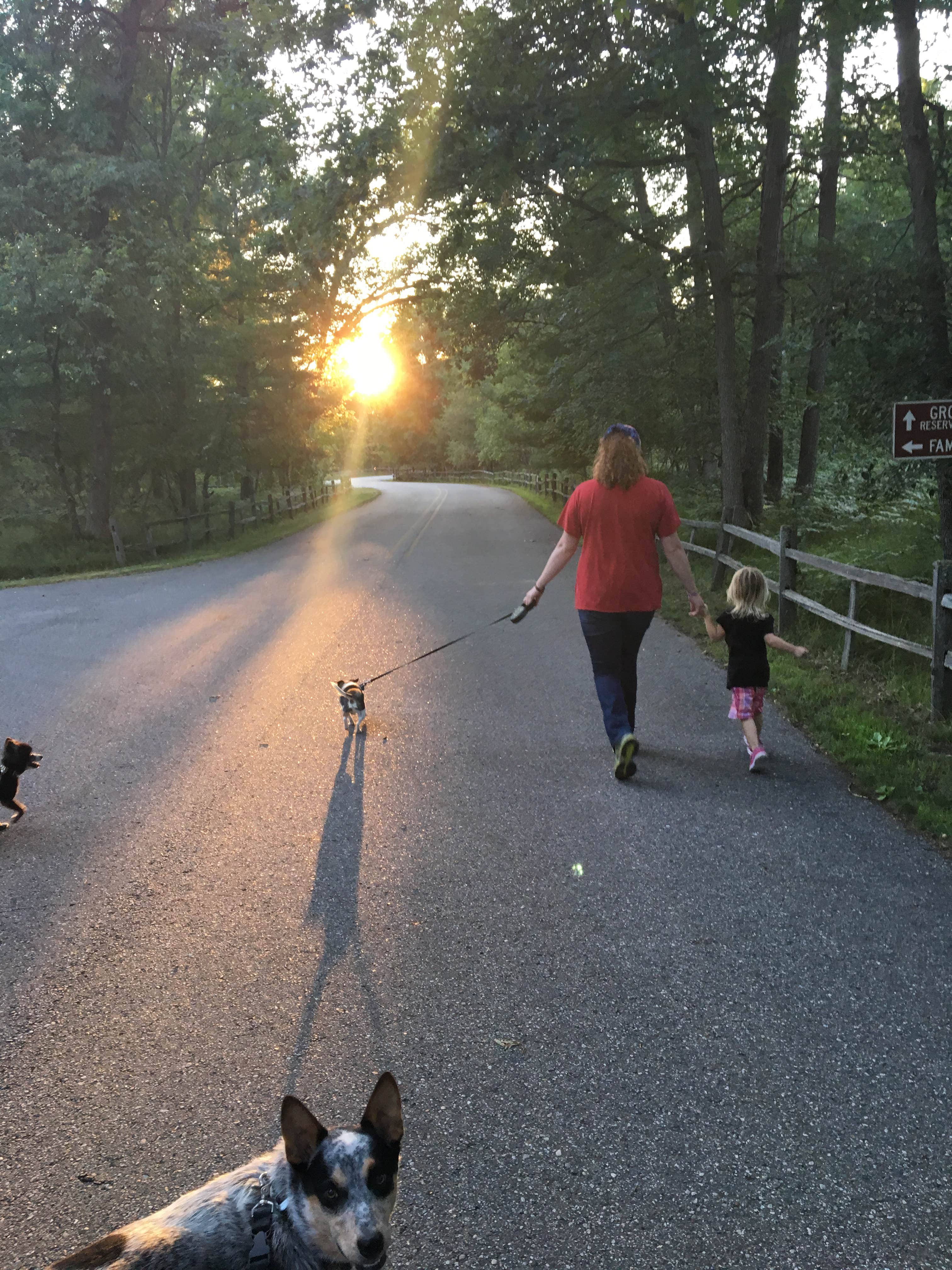 Camper submitted image from Bowman Bridge Campground - 5
