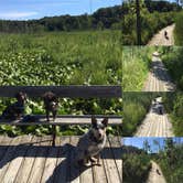 Review photo of Pokagon State Park Campground by Shelly S., July 29, 2017