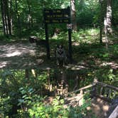 Review photo of Pokagon State Park Campground by Shelly S., July 29, 2017