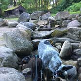Review photo of Pokagon State Park Campground by Shelly S., July 29, 2017