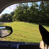 Review photo of Pokagon State Park Campground by Shelly S., July 29, 2017