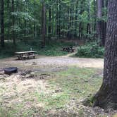 Review photo of Mccormick's Creek State Park Campground by Shelly S., July 29, 2017