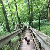 Review photo of Mccormick's Creek State Park Campground by Shelly S., July 29, 2017