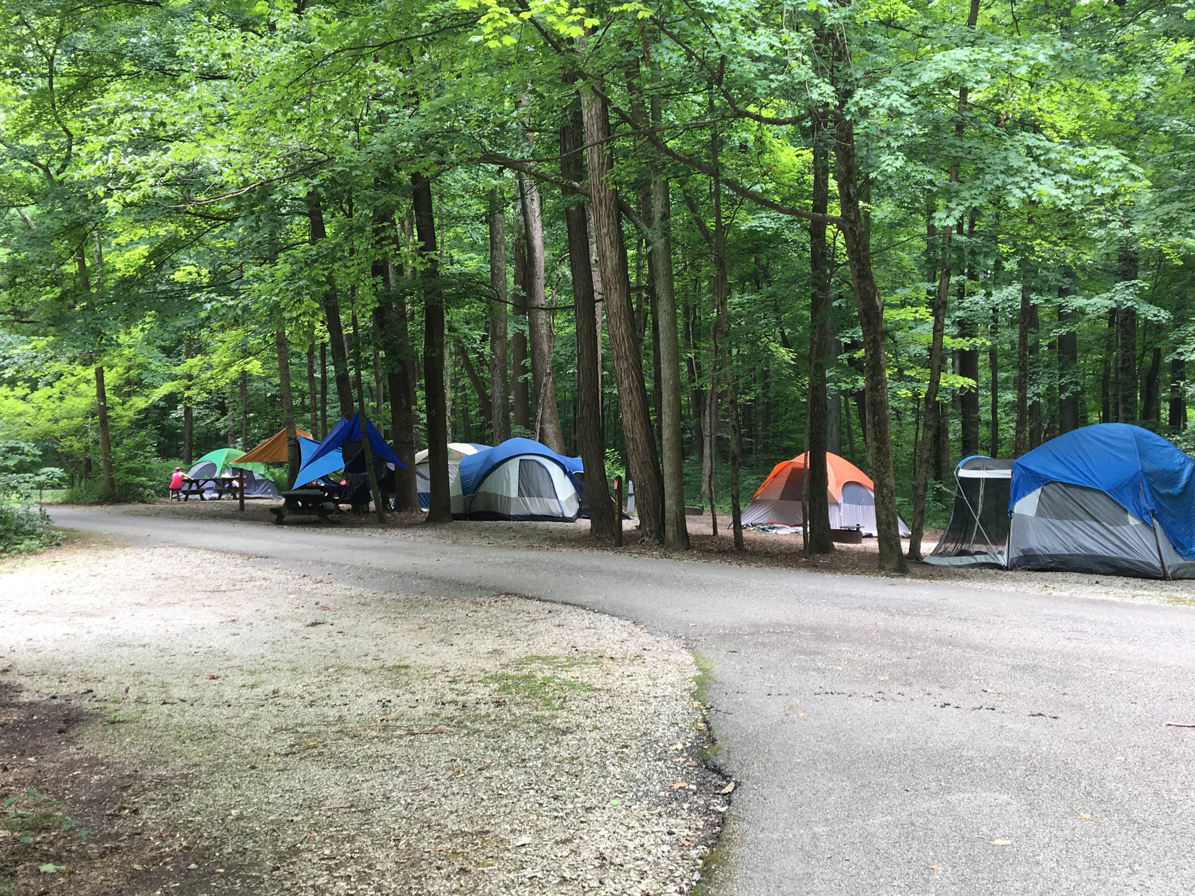 Camper submitted image from Mccormick's Creek State Park Campground - 3