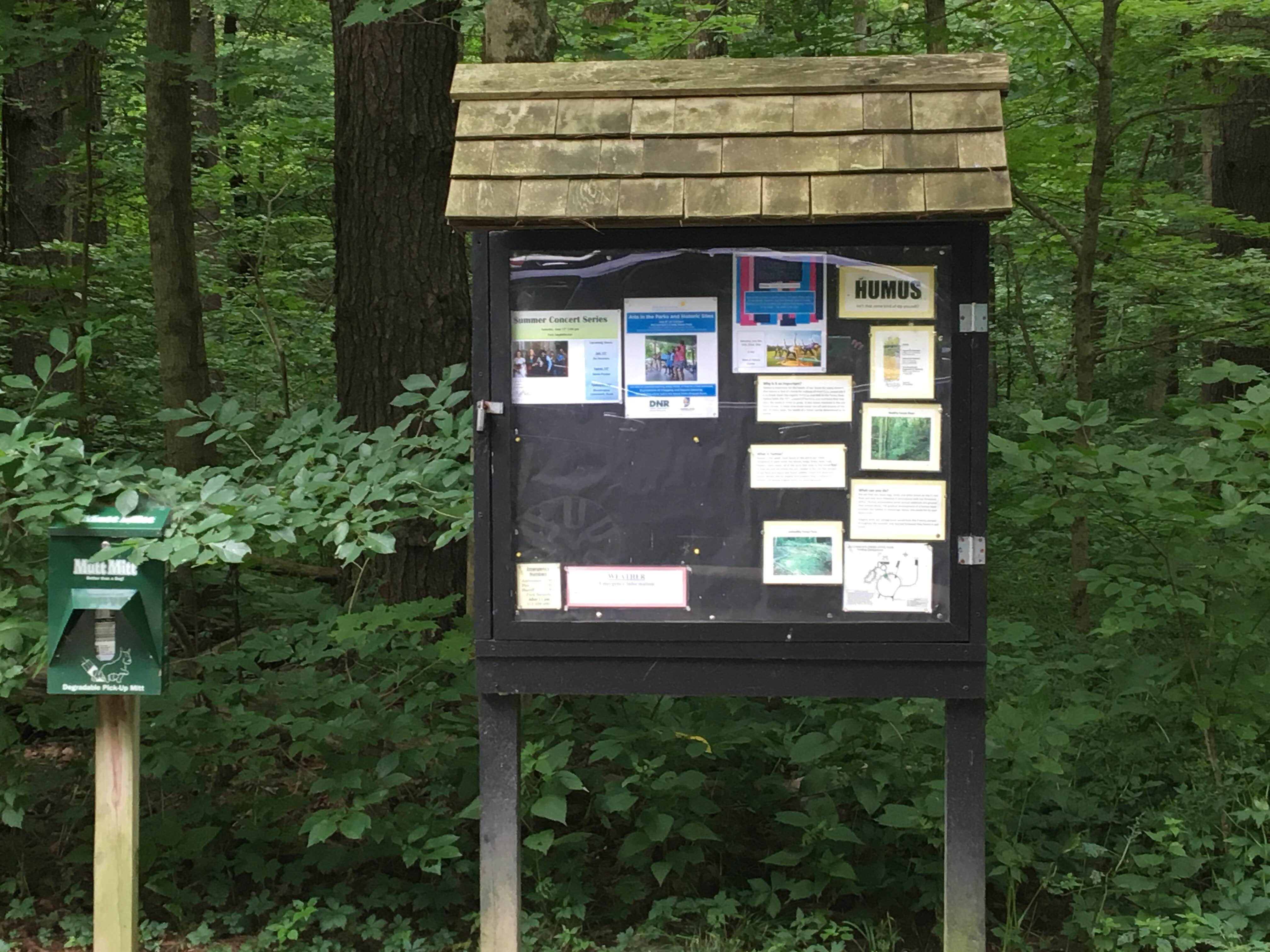 Camper submitted image from Mccormick's Creek State Park Campground - 5