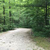 Review photo of Mccormick's Creek State Park Campground by Shelly S., July 29, 2017