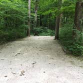Review photo of Mccormick's Creek State Park Campground by Shelly S., July 29, 2017