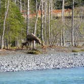 Review photo of Granite Creek by Aimee H., July 29, 2017