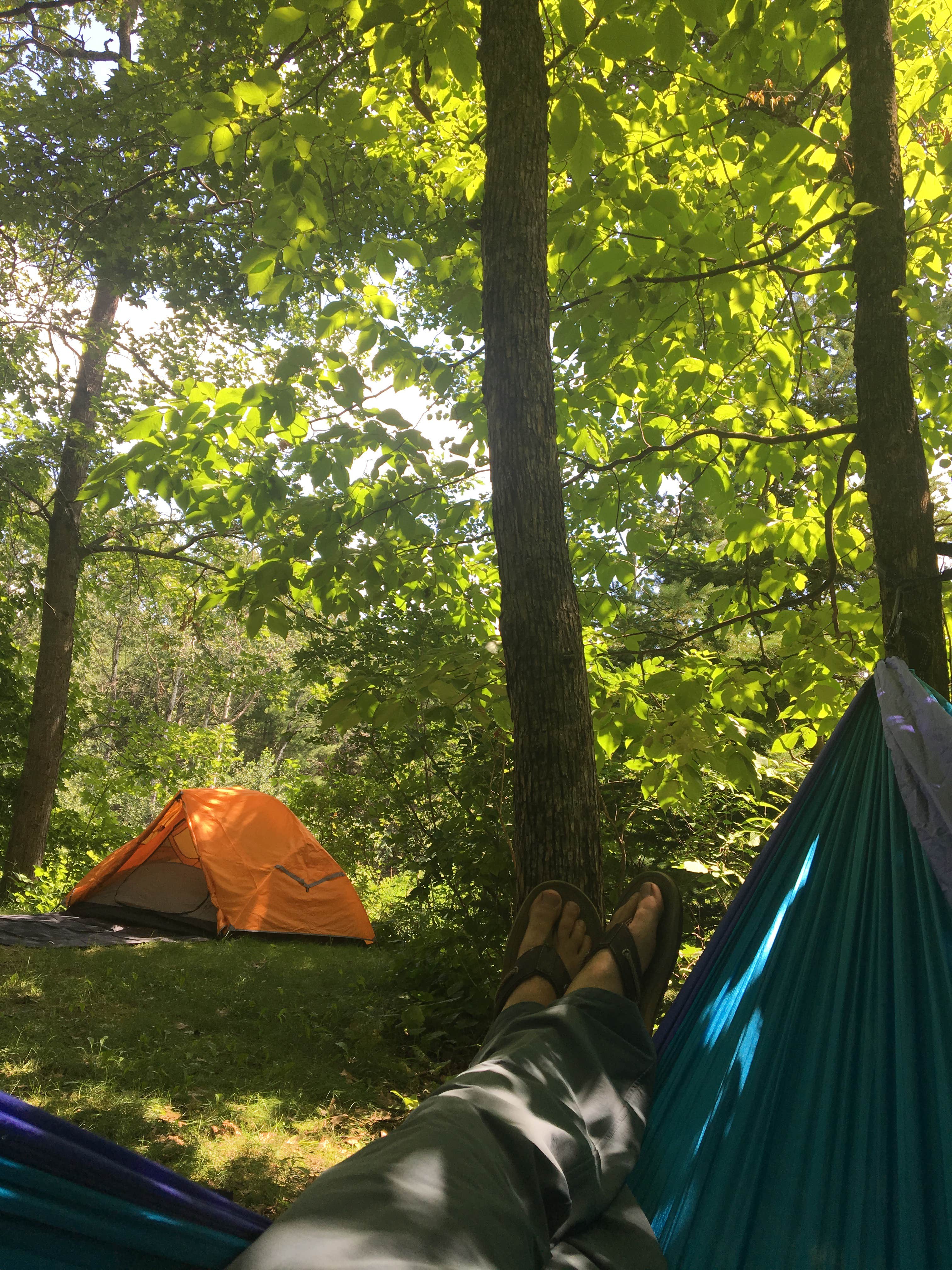 Camper submitted image from Savanna Portage State Park Campground - 3