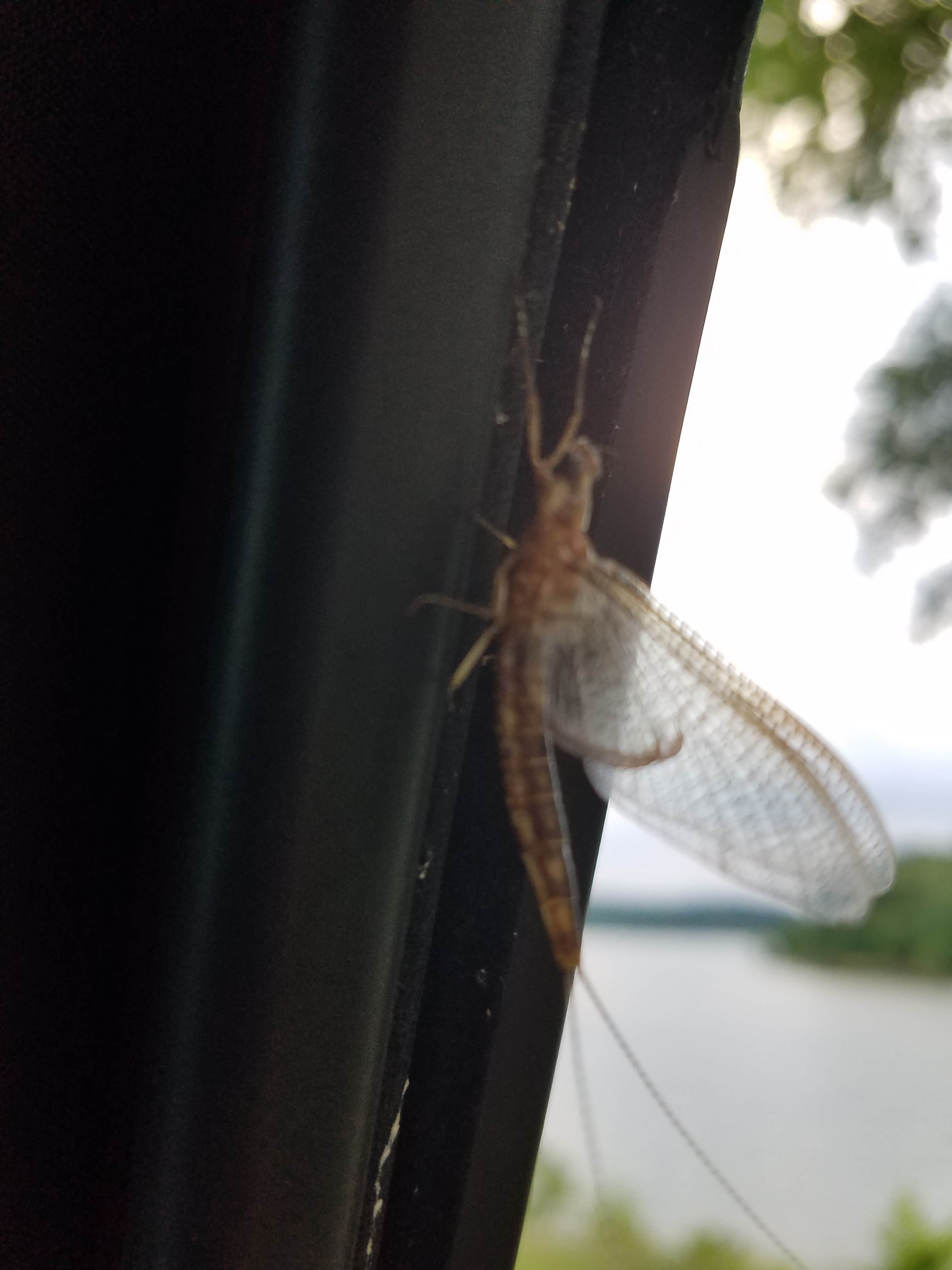 Camper-submitted photo at Smith Bay Campground near Benton, KY