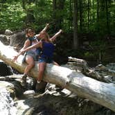 Review photo of Sharp Bridge by Christina  M., July 29, 2017