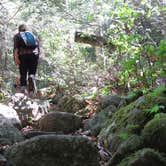 Review photo of Sharp Bridge Campground by Christina  M., July 29, 2017
