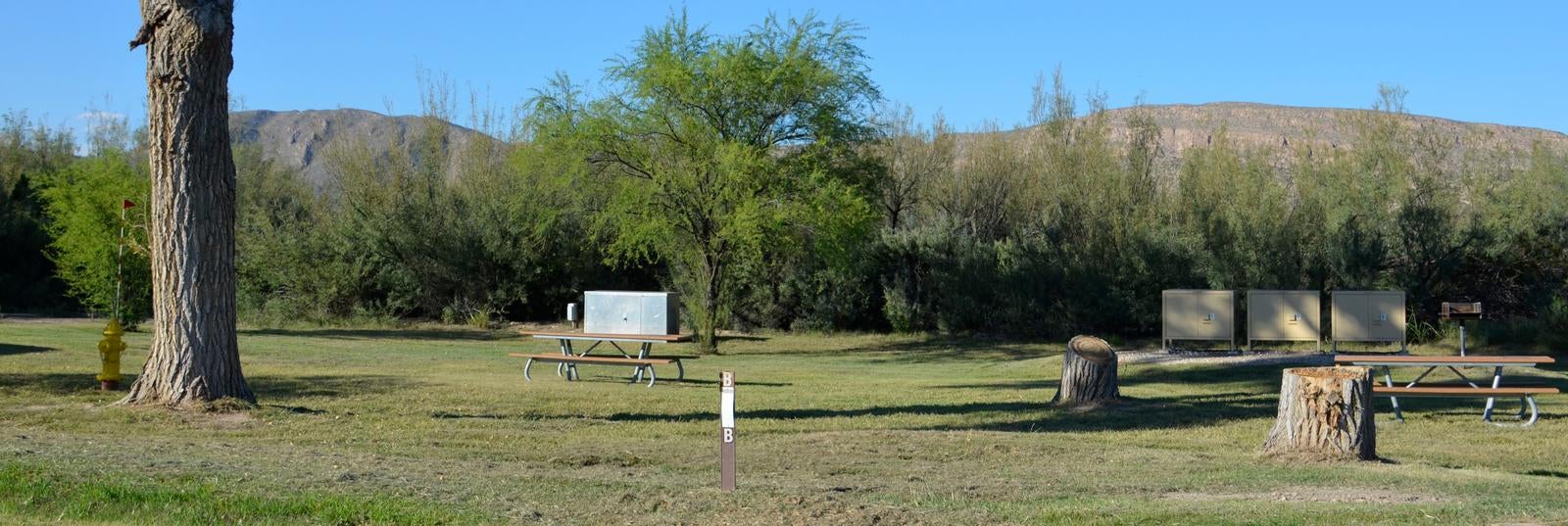 Camper submitted image from Rio Grande Village Group Campground — Big Bend National Park - 4