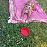 Review photo of Blue Spring Backcountry Camping — Ozark National Scenic Riverway by Crystal  M., June 28, 2016