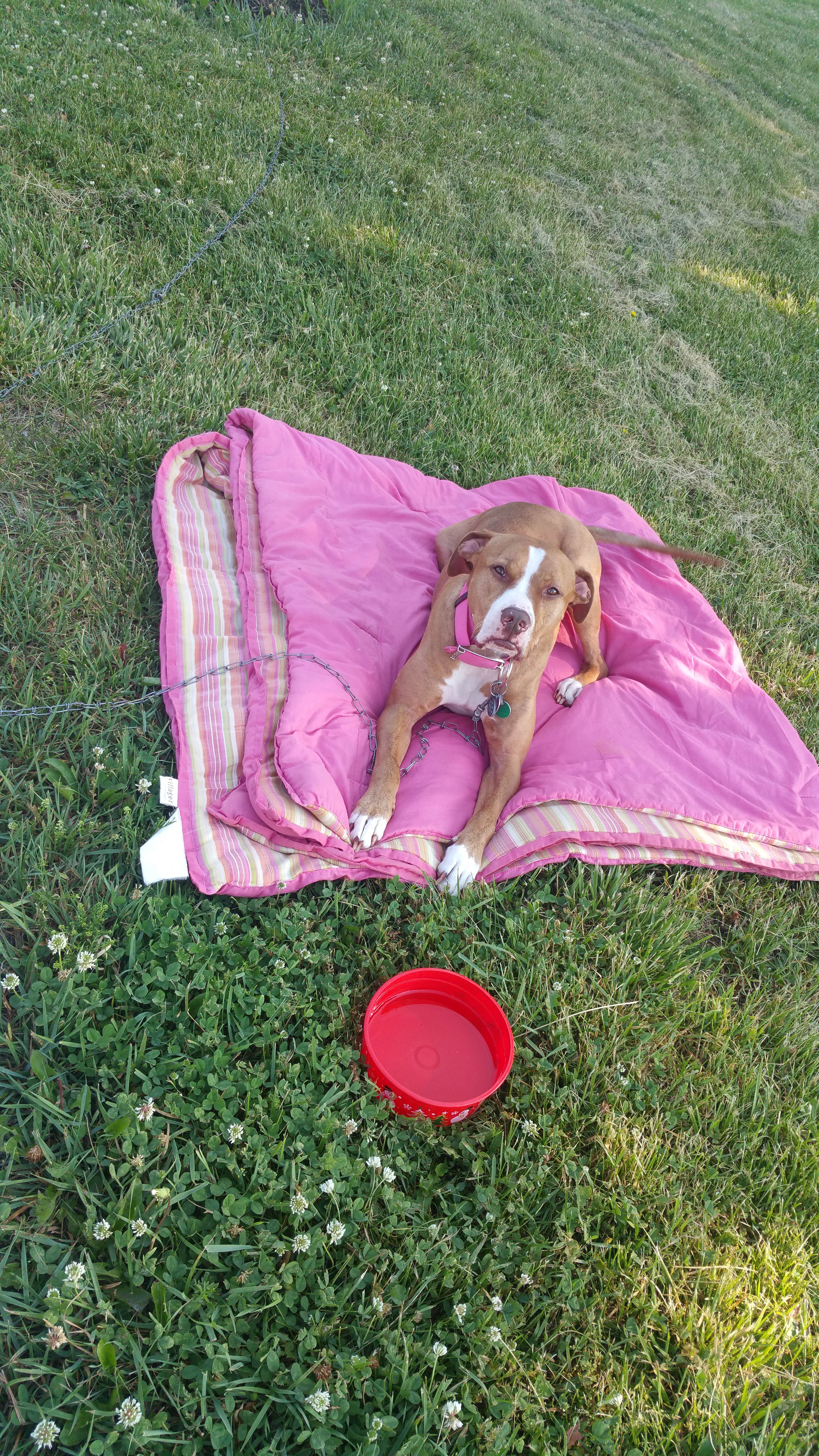 Camper submitted image from Blue Spring Backcountry Camping — Ozark National Scenic Riverway - 2