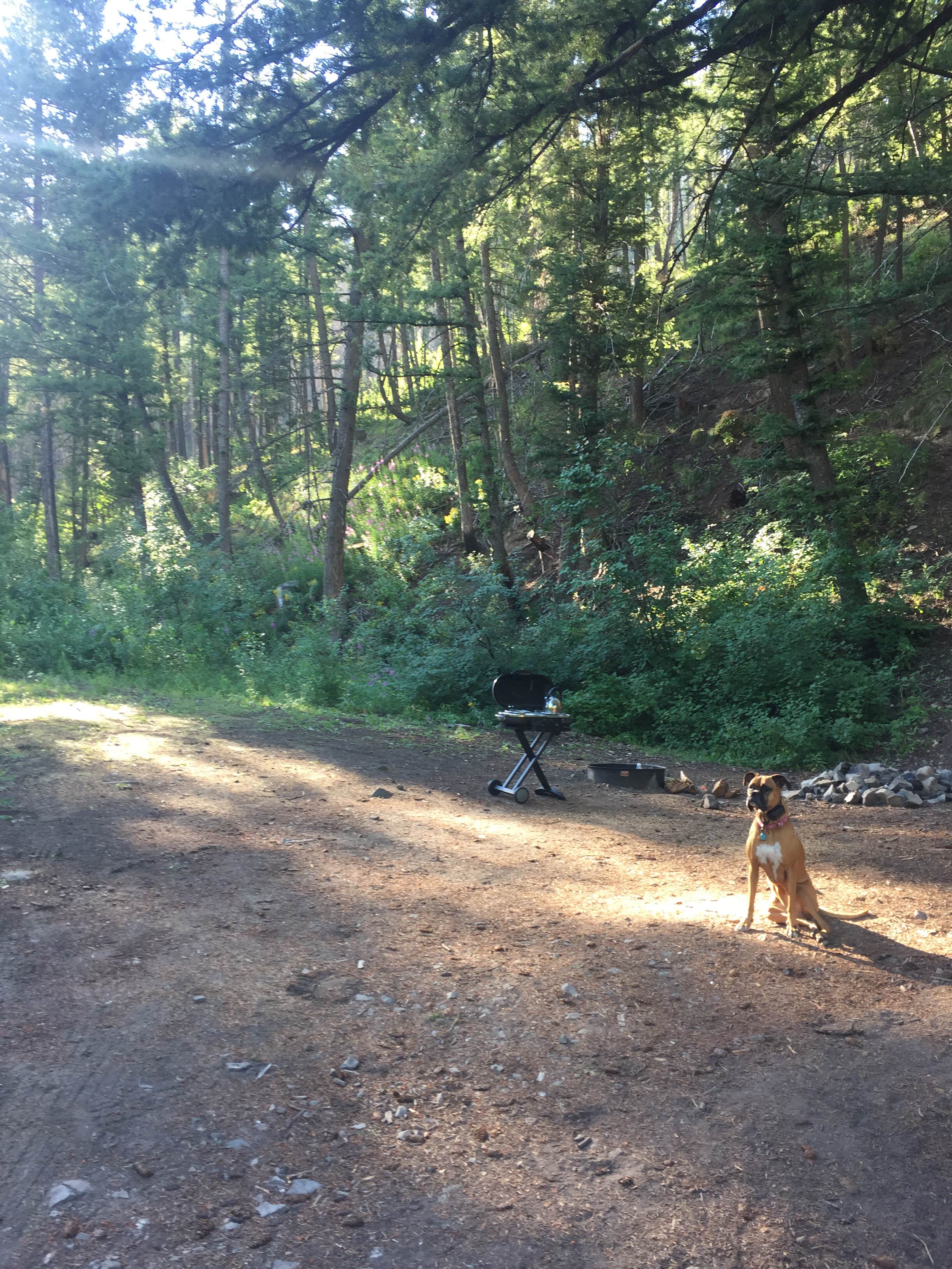 Camper-submitted photo at Warm Springs Campground near Stanley, ID