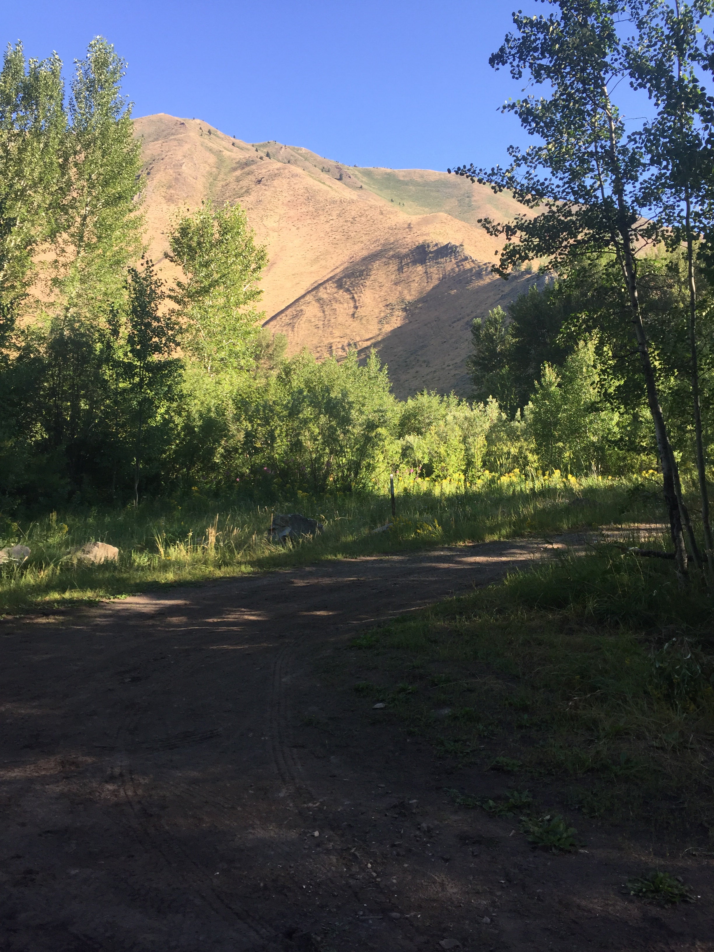 Camper submitted image from Warm Springs Campground - 2