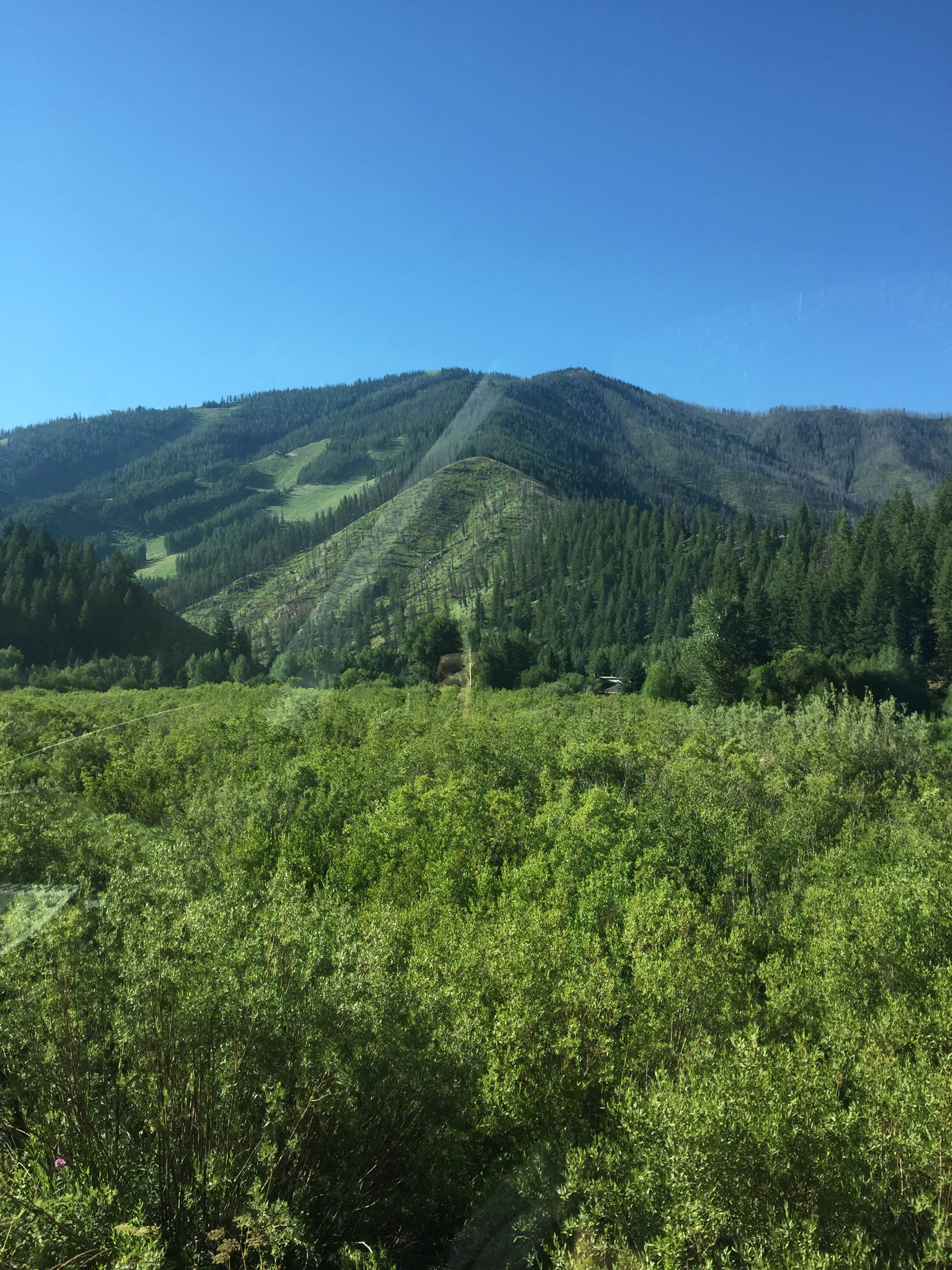 Camper-submitted photo at Warm Springs Campground near Stanley, ID