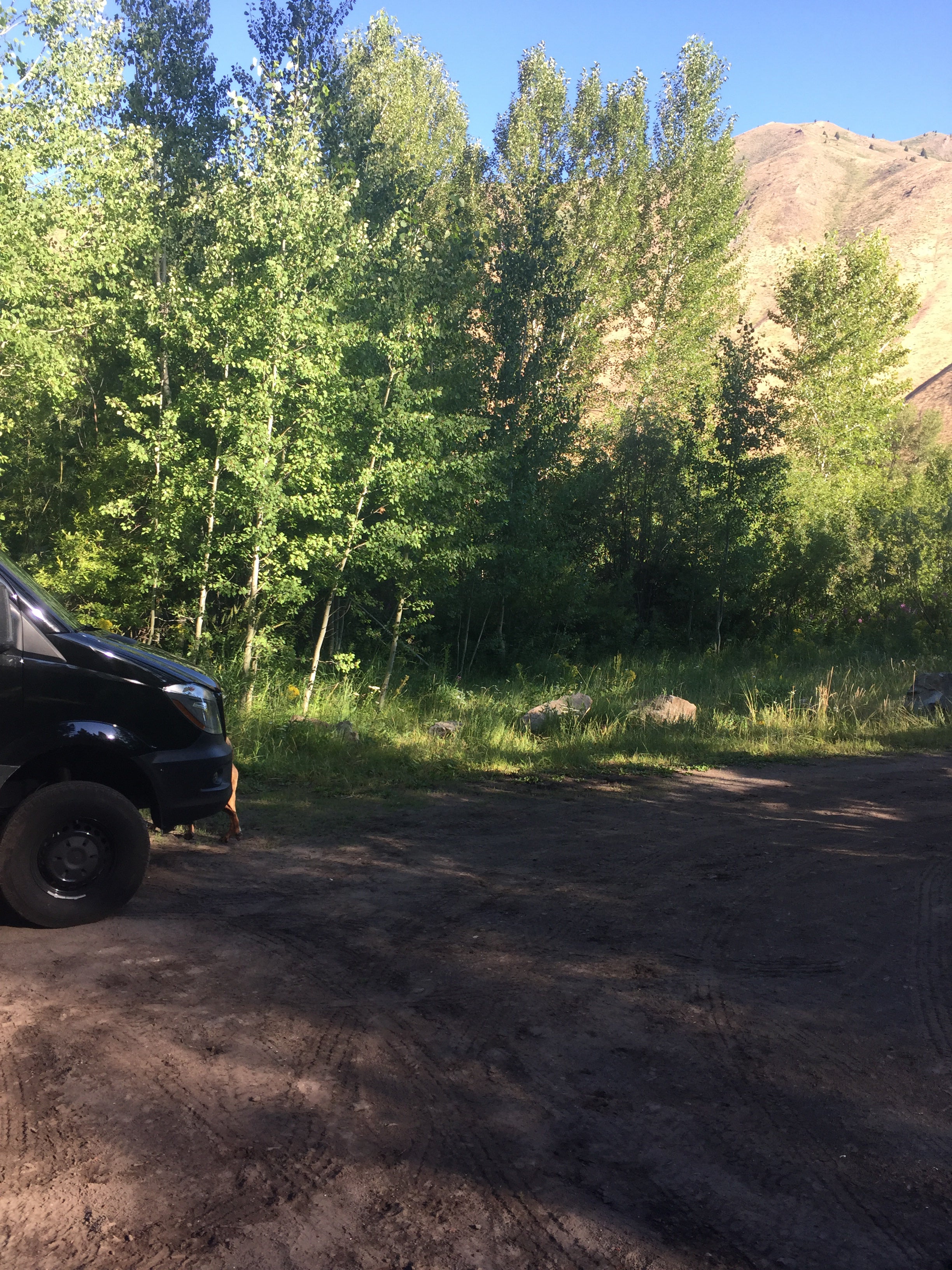 Camper submitted image from Warm Springs Campground - 1