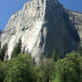 Review photo of Hodgdon Meadow Campground — Yosemite National Park by Amber B., July 29, 2017