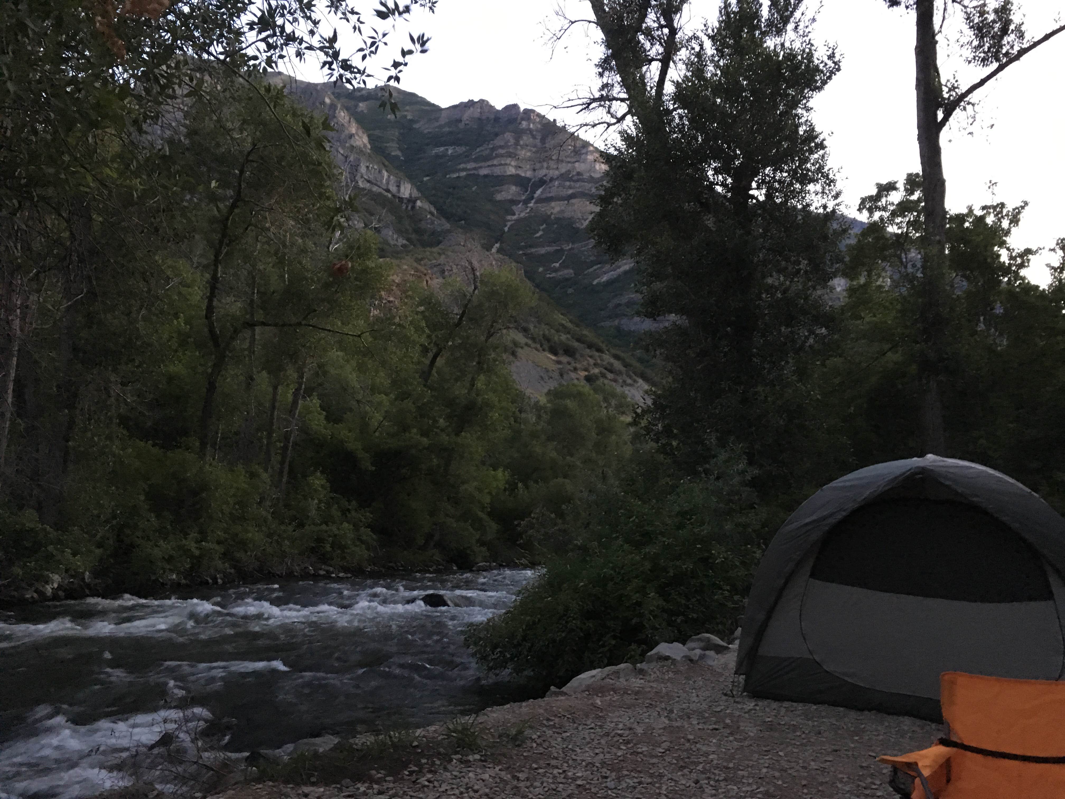 Camper submitted image from Nunns Park - 5