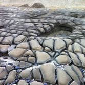 Review photo of Beverly Beach State Park Campground by Amber B., July 29, 2017