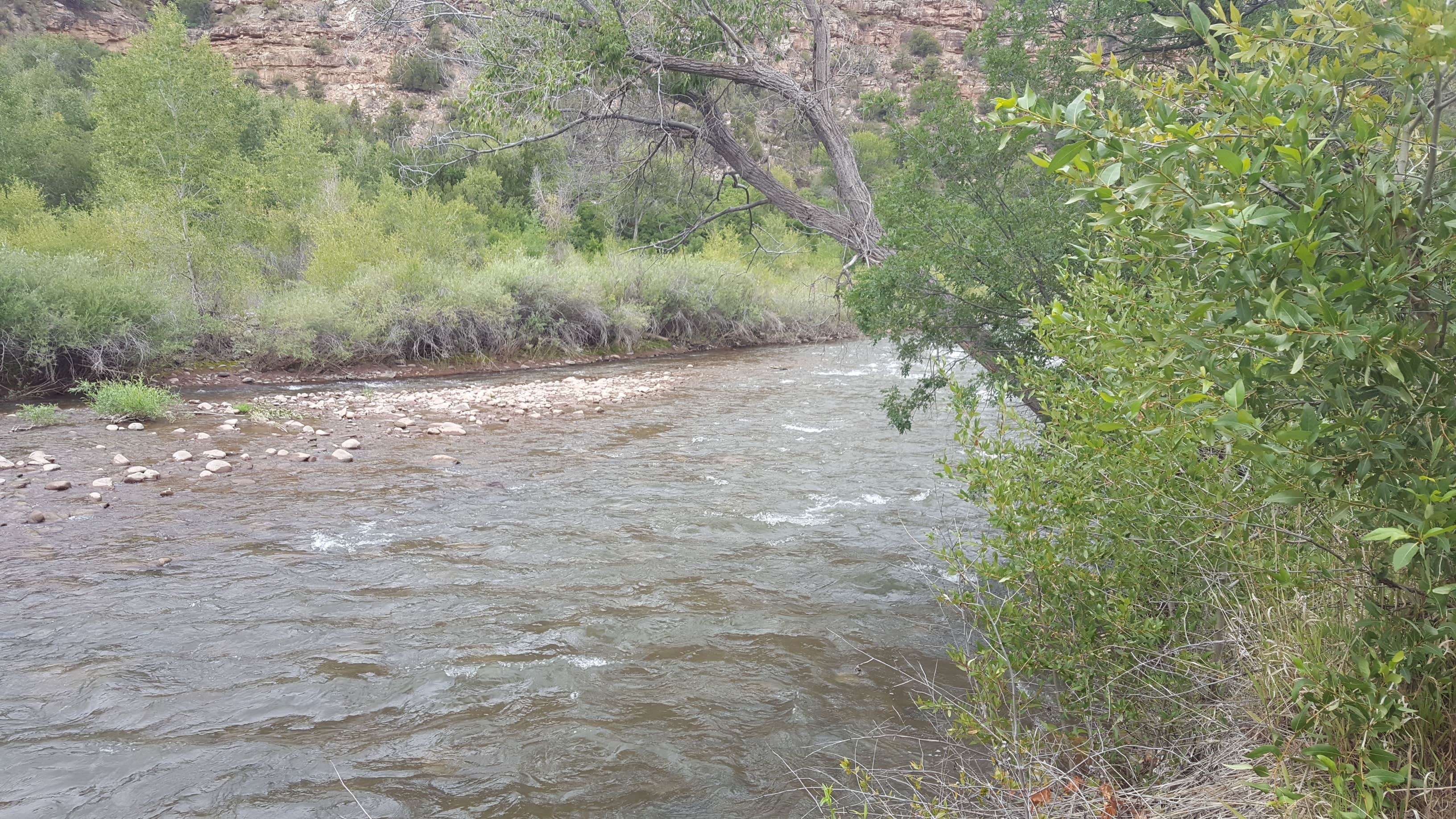 Camper submitted image from Ledges Rockhouse Campground - 4
