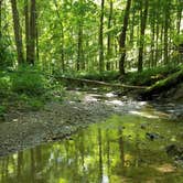 Review photo of Burr Oak State Park Campground by Kelsey R., July 29, 2017