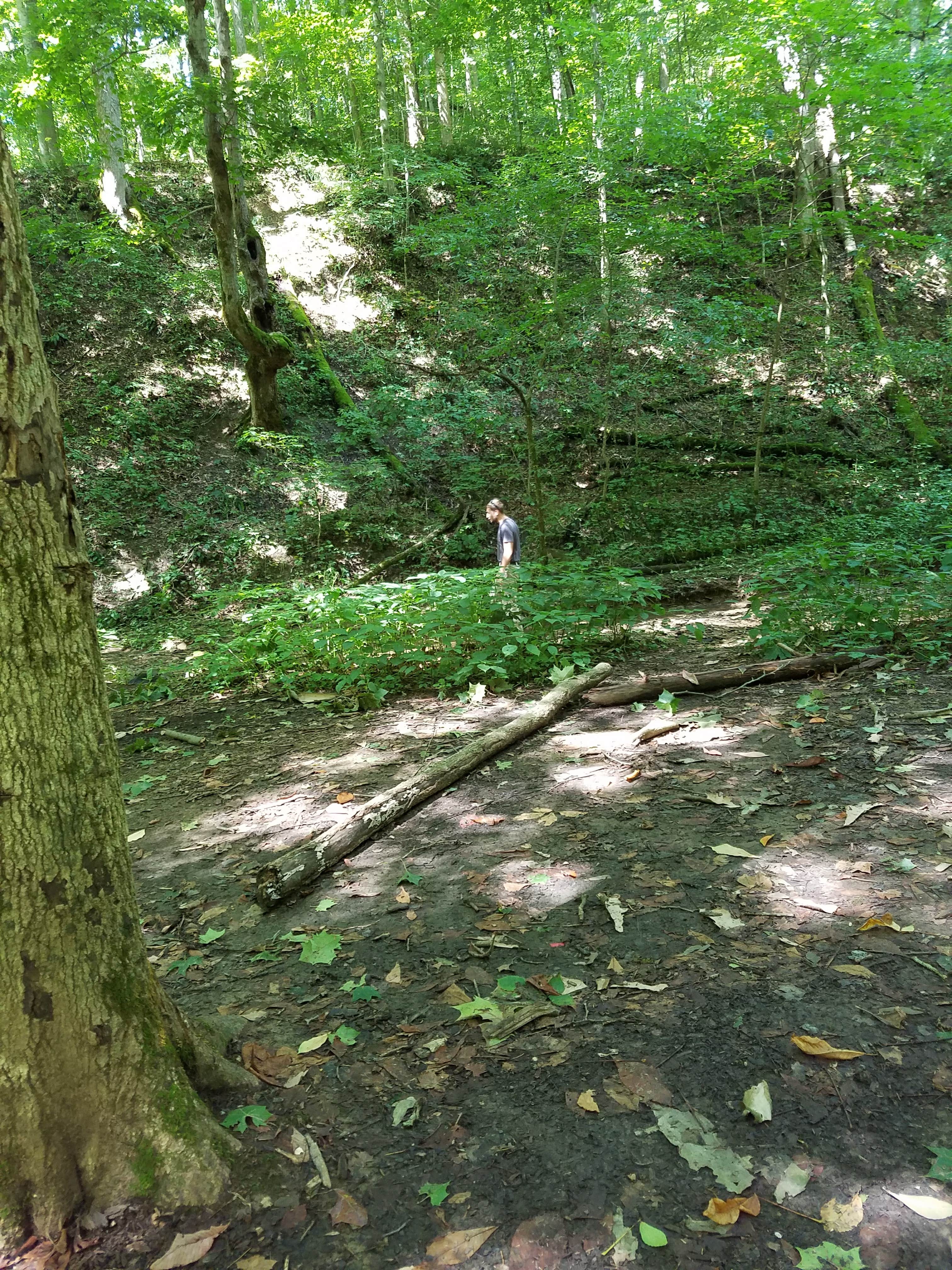 Camper-submitted photo at Dock Area Campsites — Burr Oak State Park near Corning, OH