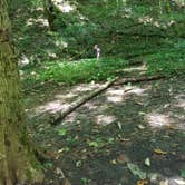 Review photo of Burr Oak State Park Campground by Kelsey R., July 29, 2017