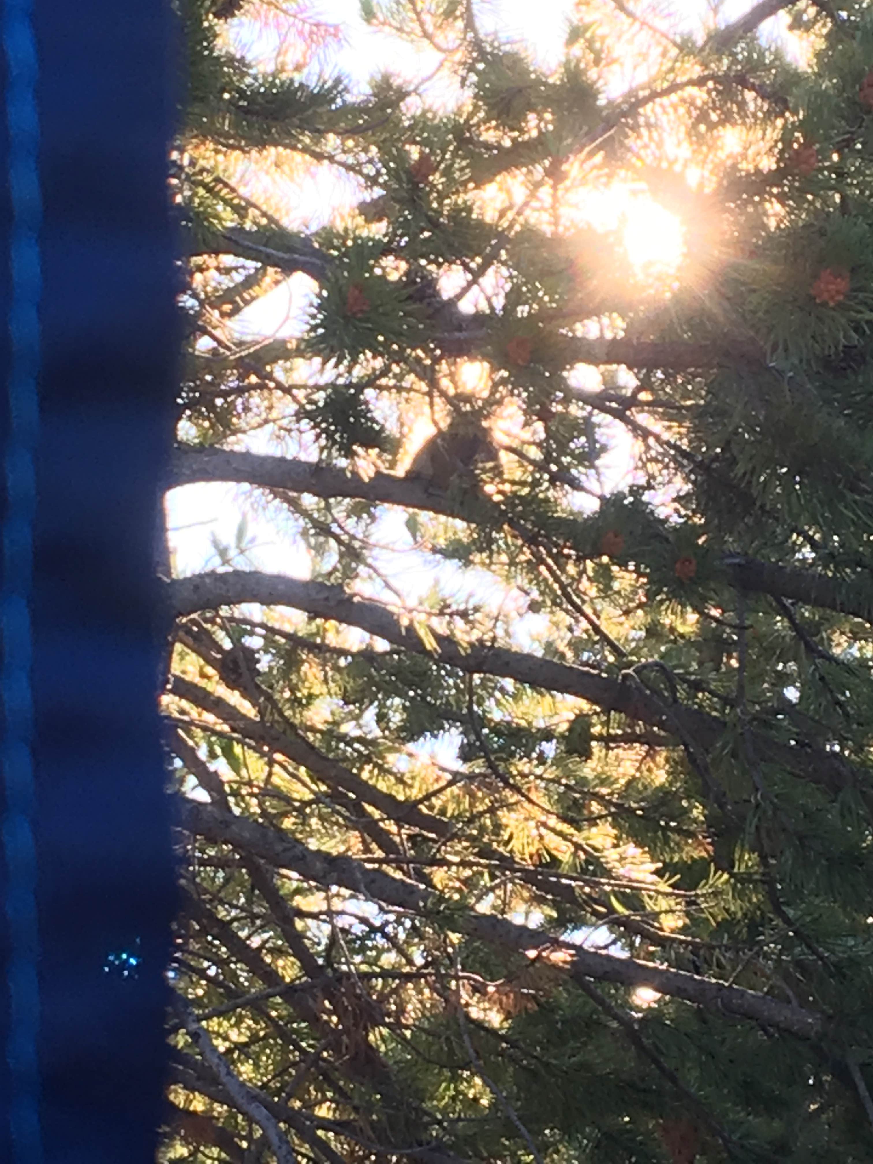 Camper submitted image from Wasatch National Forest Soapstone Campground - 2