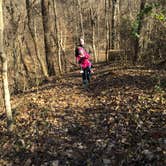 Review photo of John James Audubon State Park Campground by Shelly S., July 30, 2017
