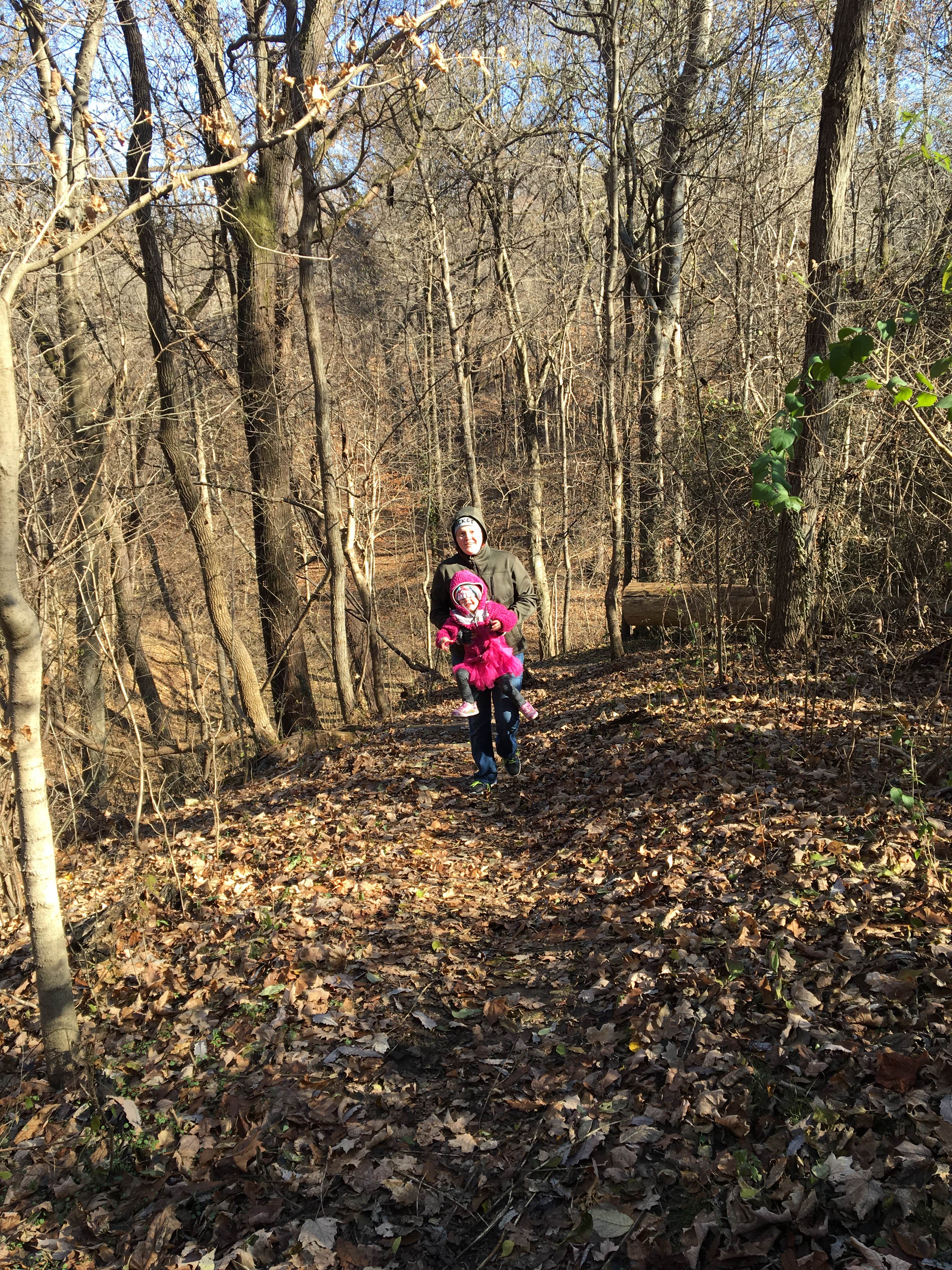 Camper submitted image from John James Audubon State Park Campground - 1