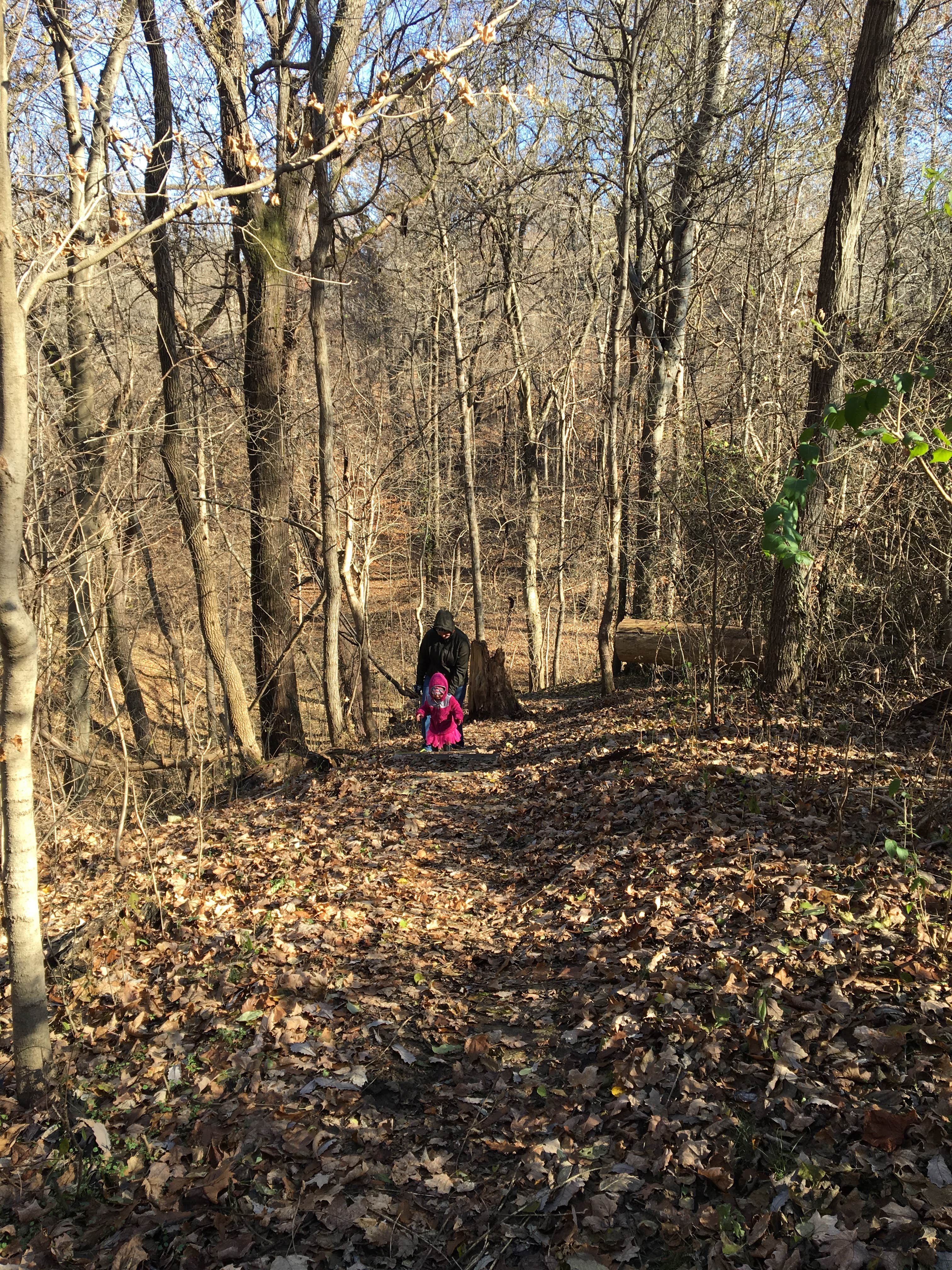 Camper-submitted photo at John James Audubon State Park Campground near Madisonville, KY